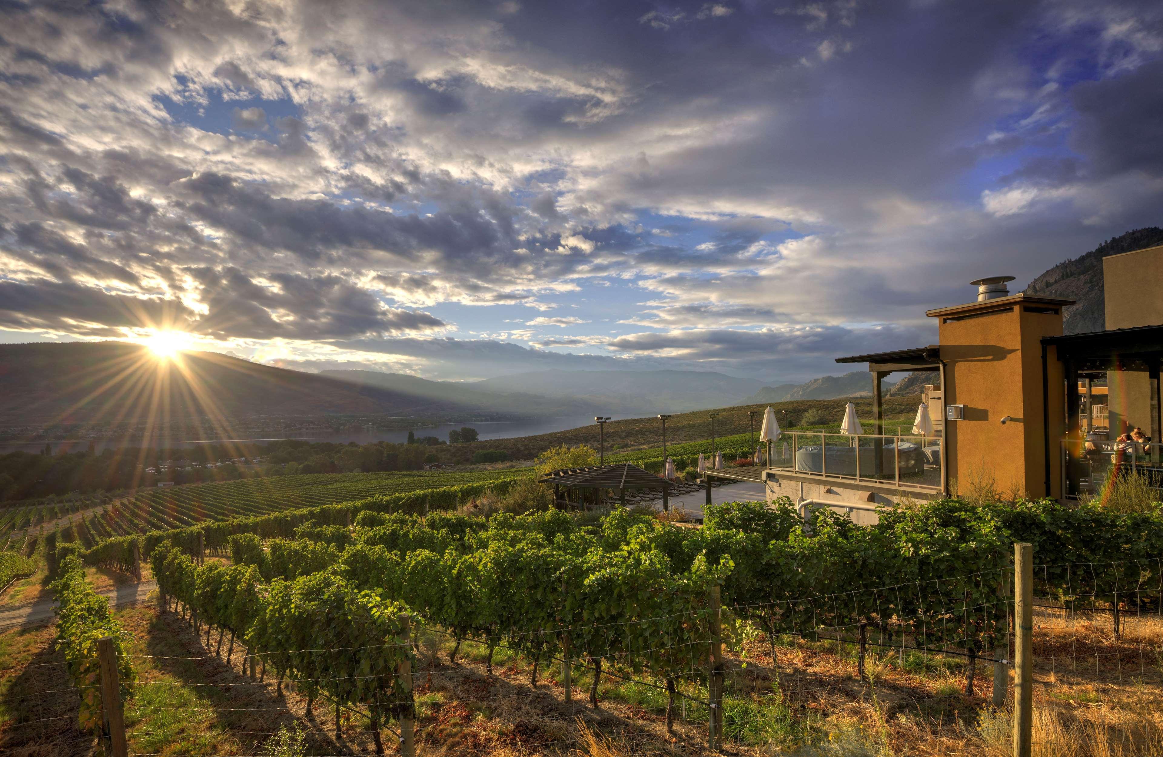 Spirit Ridge, In The Unbound Collection By Hyatt Hotell Osoyoos Exteriör bild